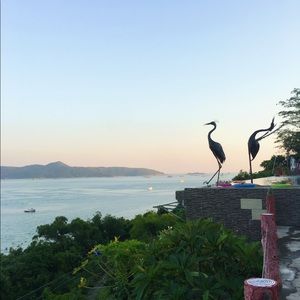 Meet your Posher, Nuan ting